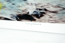 Load image into Gallery viewer, 'Symphonia' | Alberto Sanchez | Photographic Edition