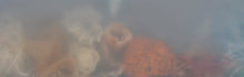 Load image into Gallery viewer, Brave | Sonia Alins | Limited Edition
