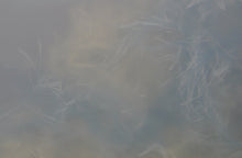 Load image into Gallery viewer, 'Dona d'Aigua V' | Sonia Alins | Painting