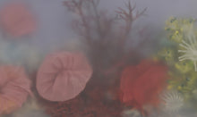Load image into Gallery viewer, Hacia el Fondo del Mar | Sonia Alins | Limited Edition