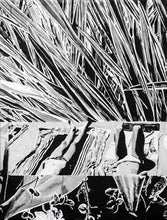 Load image into Gallery viewer, Pieces of the Whole | Rikki Kasso | Painting