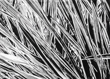 Load image into Gallery viewer, Pieces of the Whole | Rikki Kasso | Painting