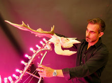 Load image into Gallery viewer, 'Push Me Pull You (Divorce)' | Stefan Yordanov | Sculpture