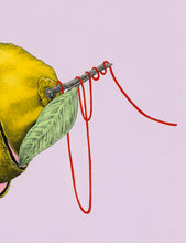 Load image into Gallery viewer, The Lemon | Allison M Low | Drawing