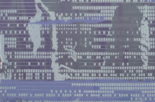 Load image into Gallery viewer, Perforated Communication  | Cristobal Anwandter | Painting