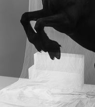 Load image into Gallery viewer, 'Dancing Fearless' | Jorg Karg | Photography