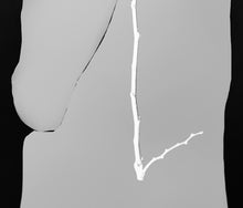 Load image into Gallery viewer, 'Fire without a Sound' | Jorg Karg | Photography