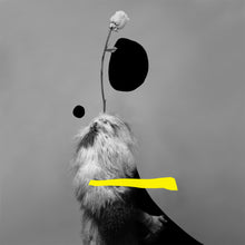 Load image into Gallery viewer, 'Your Snow Is My Summer' | Jorg Karg | Photography