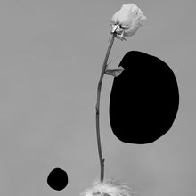 Load image into Gallery viewer, 'Your Snow Is My Summer' | Jorg Karg | Photography