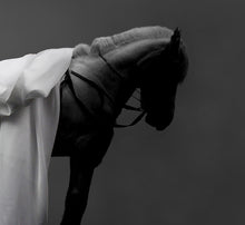 Load image into Gallery viewer, 'Horse on Round Hill' | Jorg Karg | Photography
