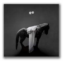 Load image into Gallery viewer, 'Horse on Round Hill' | Jorg Karg | Photography