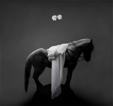 Load image into Gallery viewer, 'Horse on Round Hill' | Jorg Karg | Photography