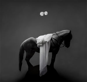 'Horse on Round Hill' | Jorg Karg | Photography