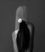 Load image into Gallery viewer, Pont Neuf + Shiny Ruin + Four Seeds Five Flowers | Jorg Karg | Photography