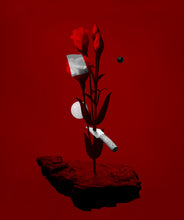 Load image into Gallery viewer, 'The Huntsman's Profit' | Jorg Karg | Photography