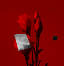 Load image into Gallery viewer, 'The Huntsman's Profit' | Jorg Karg | Photography