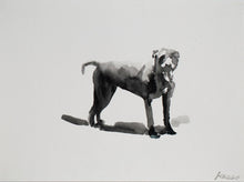 Load image into Gallery viewer, 'Lucy' | Rikki Kasso | Painting