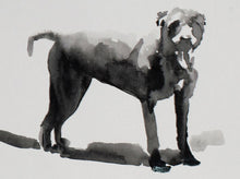 Load image into Gallery viewer, 'Lucy' | Rikki Kasso | Painting