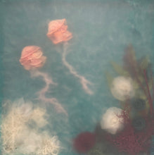 Load image into Gallery viewer, Jellyfish II | Sonia Alins | Painting
