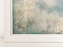 Load image into Gallery viewer, Jellyfish II | Sonia Alins | Painting