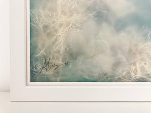 Jellyfish II | Sonia Alins | Painting