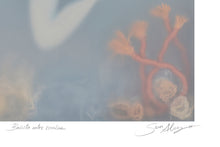 Load image into Gallery viewer, Bañista entre Corales | Sonia Alins | Limited Edition
