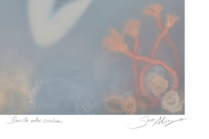Bañista entre Corales | Sonia Alins | Limited Edition