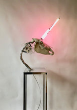 Load image into Gallery viewer, 'Golden Light' | Stefan Yordanov | Sculpture