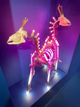 Load image into Gallery viewer, 'Bambi Twins' | Stefan Yordanov | Sculpture