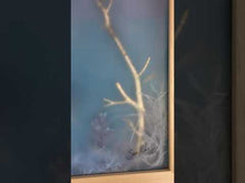 Load and play video in Gallery viewer, Fondo Marino y Tres Medusas | Sonia Alins | Painting