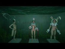 Load and play video in Gallery viewer, P.O.I.S.O.N. | Ciane Xavier | Sculpture