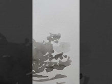Load and play video in Gallery viewer, Surf Study | Rikki Kasso | Painting