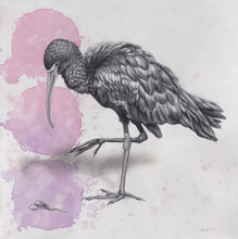 Load image into Gallery viewer, A Peculiar Pair | Alex Louisa | Limited Edition Print