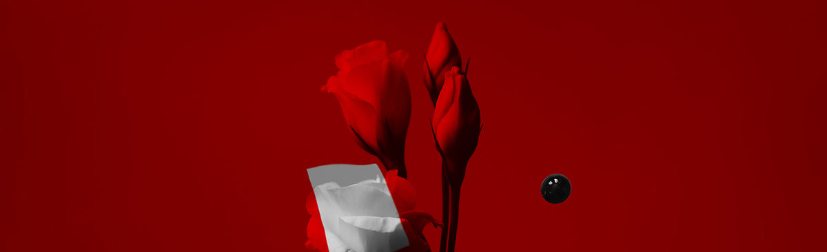 Retrospect Red Red – Retrospect Galleries