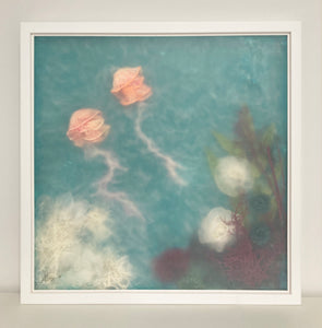 Jellyfish II | Sonia Alins | Painting