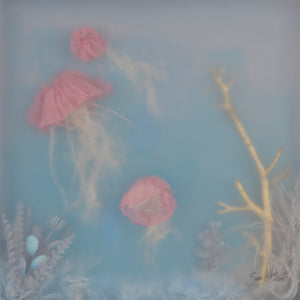 Fondo Marino y Tres Medusas | Sonia Alins | Painting