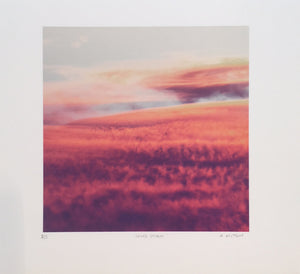 Sand Storm  | Ali Mitton | Limited Edition Print