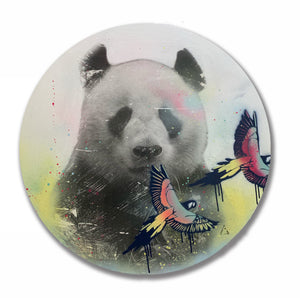 Team Panda I Carley Cornelissen | Mixed Media Assemblage