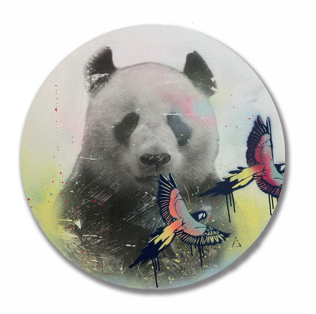 Team Panda I Carley Cornelissen | Mixed Media Assemblage